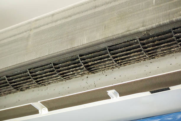 Best Home Air Vent Cleaning  in Pendleton, IN
