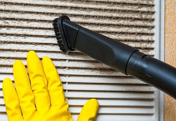 Best Ductwork Cleaning Services  in Pendleton, IN